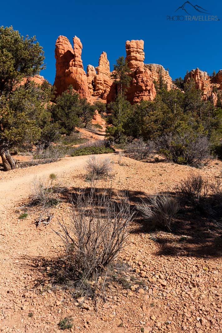 Red Canyon