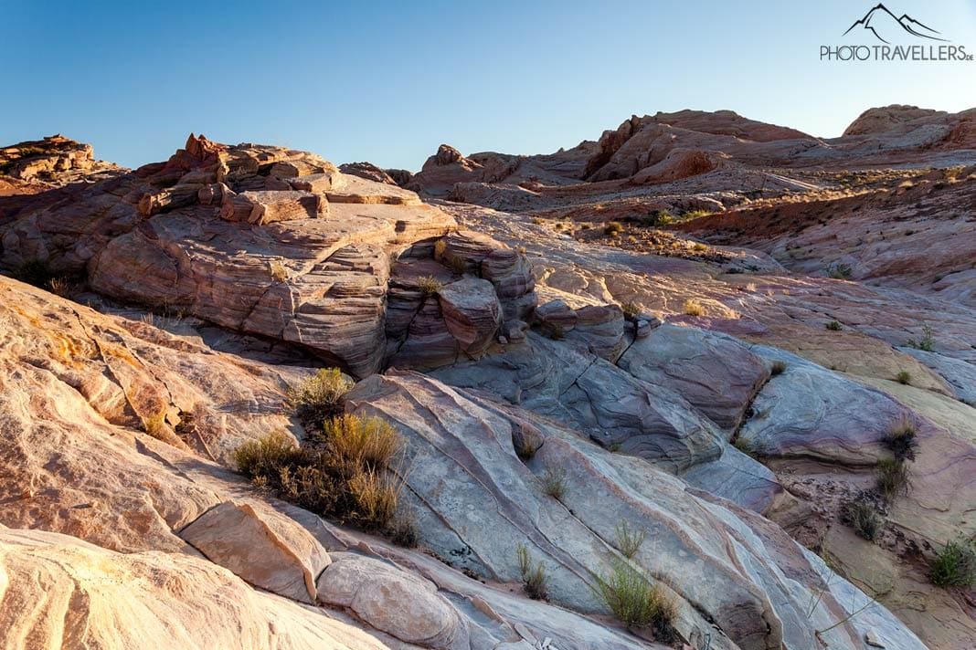 Goldene Stunde im Valley of Fire