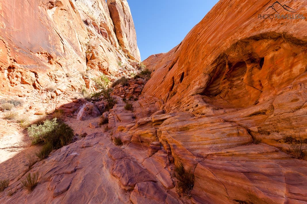White Domes Trail