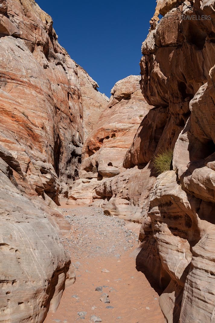 Slot Canyon Whites Dome Trail