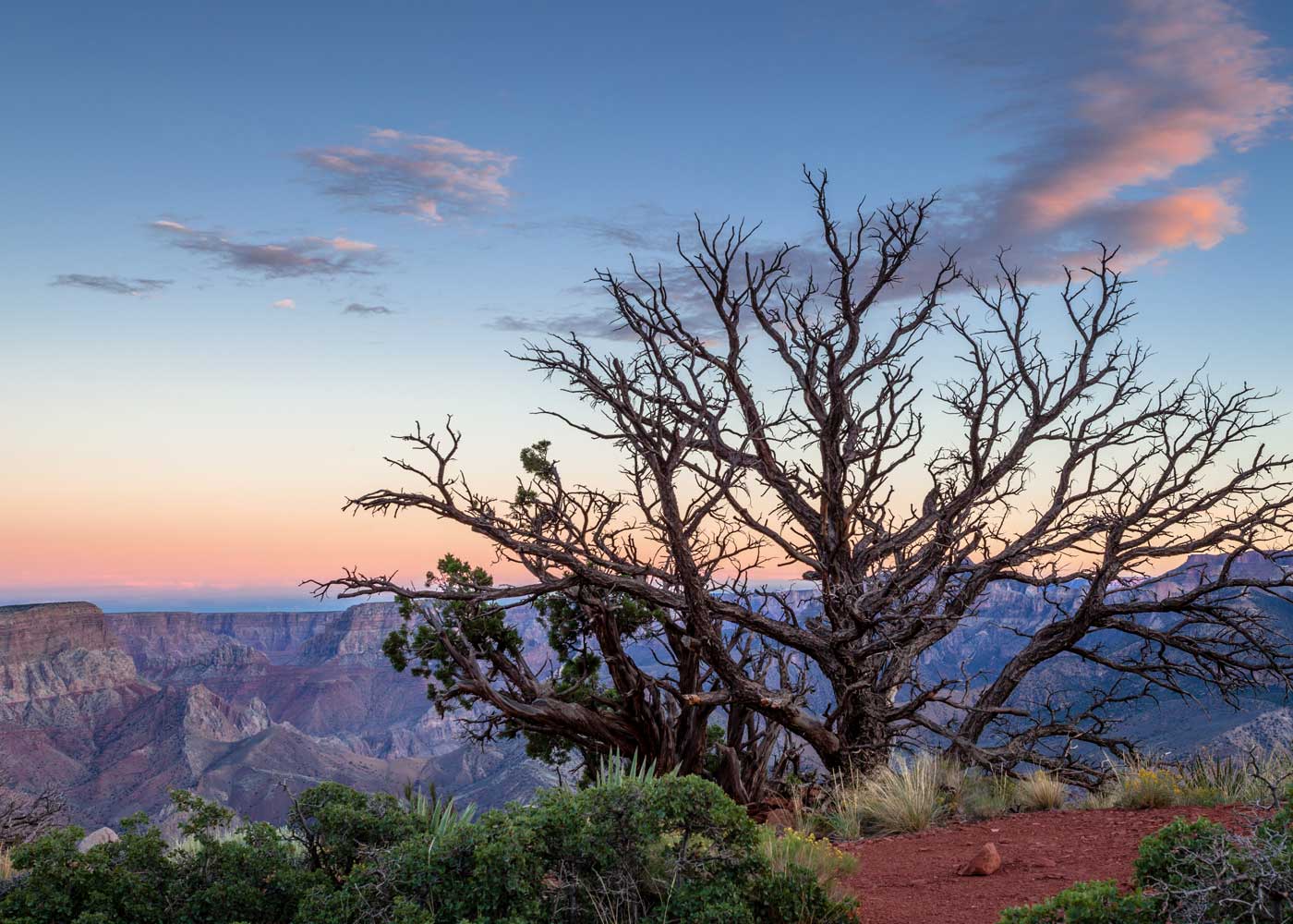 Alle Infos zur Wanderugn auf dem Nankoweap Trail am Grand Canyon