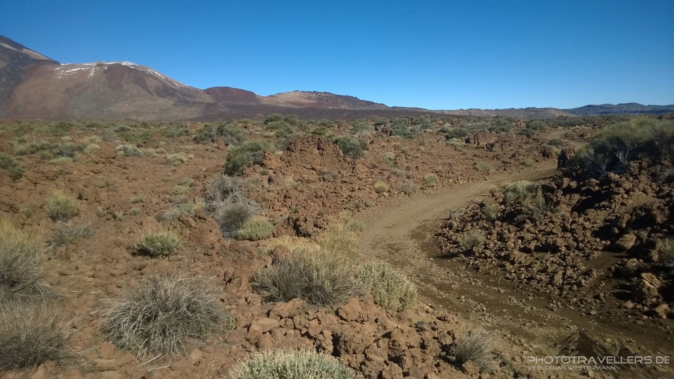Wanderung am Teide