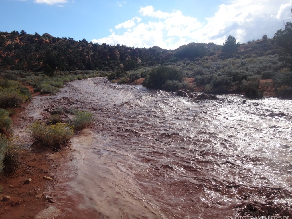 Flashflood4