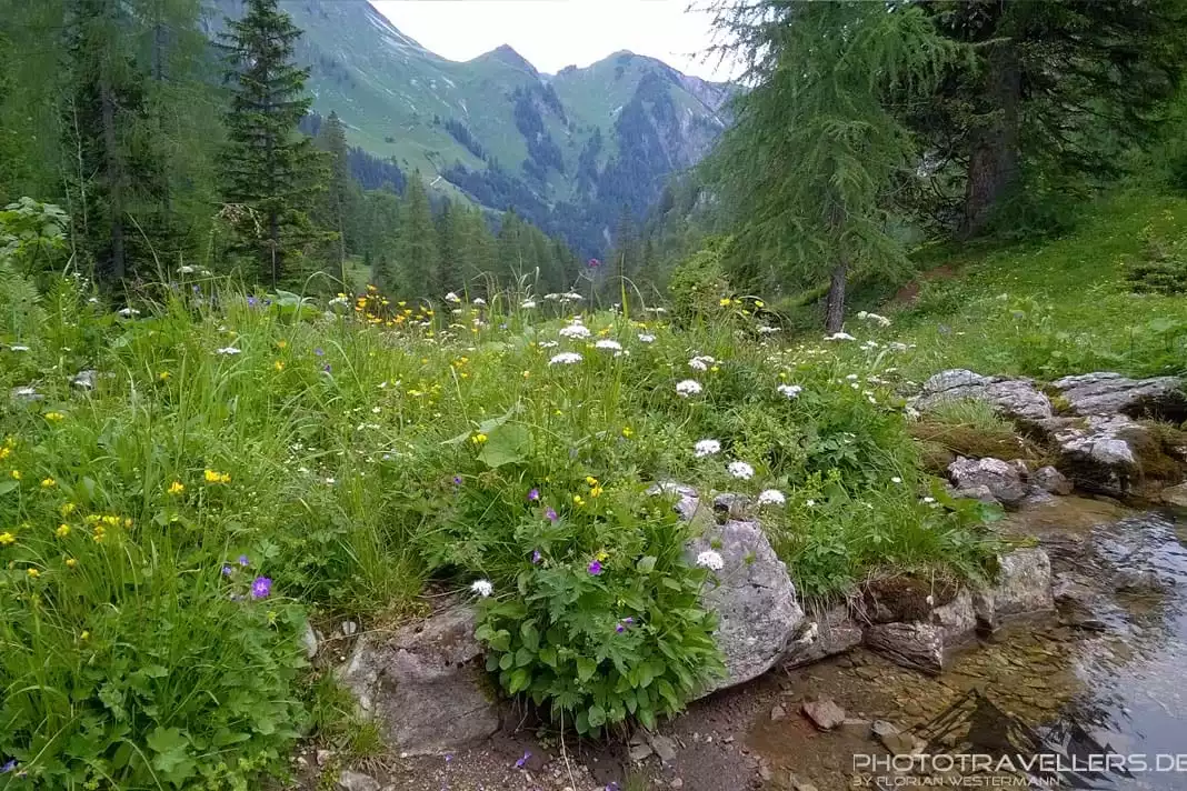 Blumenwiese Tirol