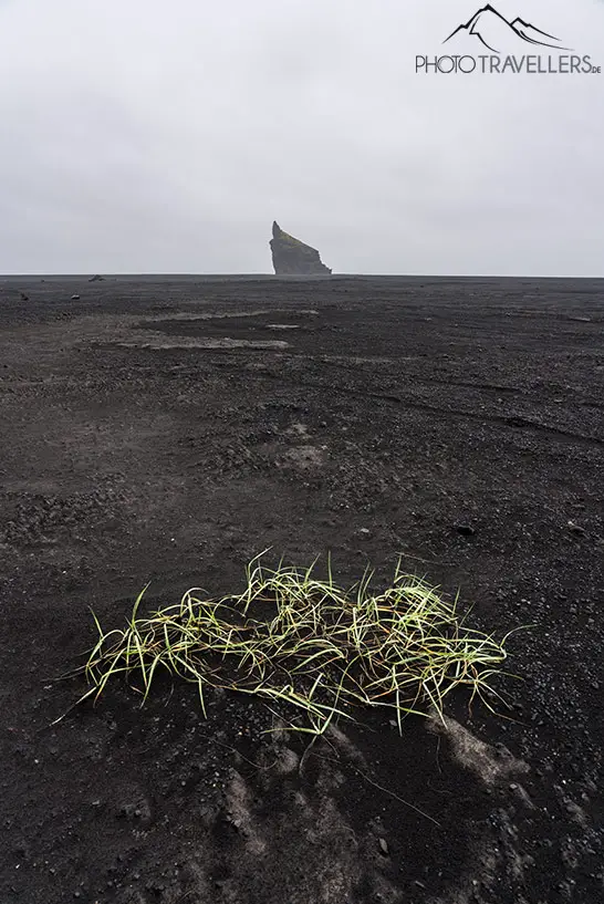 Ein schwarzer Strand in Island, aufgenommen mit einer Weitwinkelbrennweite