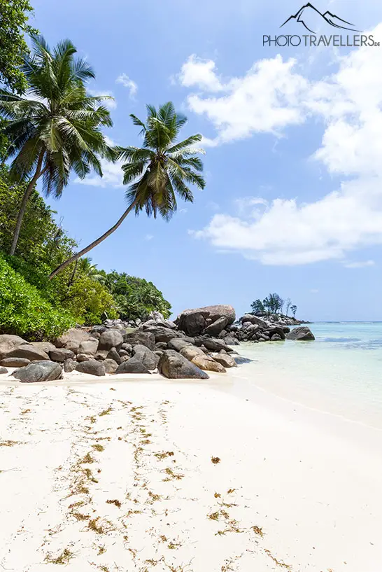 Ein weißer Sandstrand auf den Seychellen