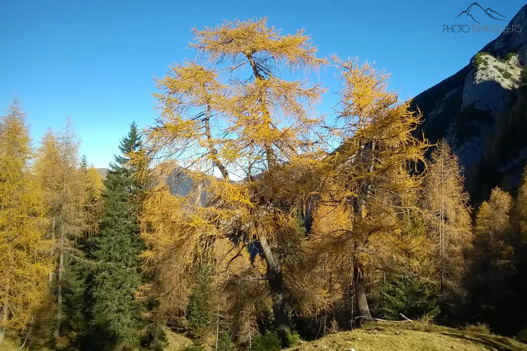 Herbst im Karwendel