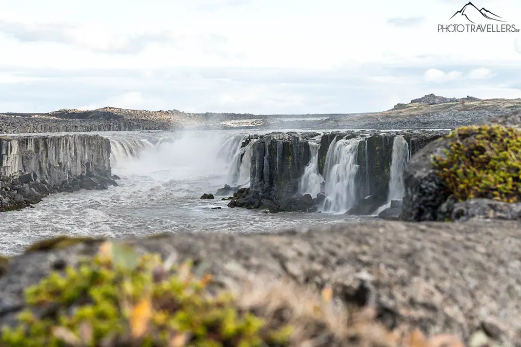 Der Wasserfall Selfoss in Island