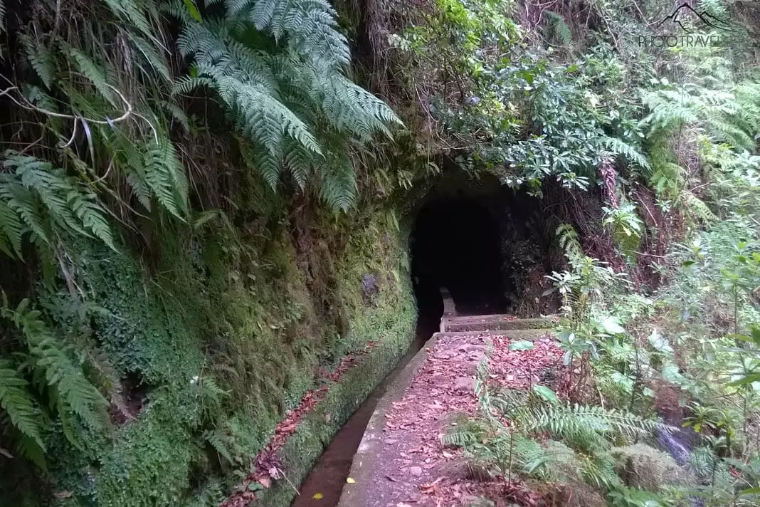 Ein Tunnel auf der Levadawanderung zum Caldeirão do Inferno