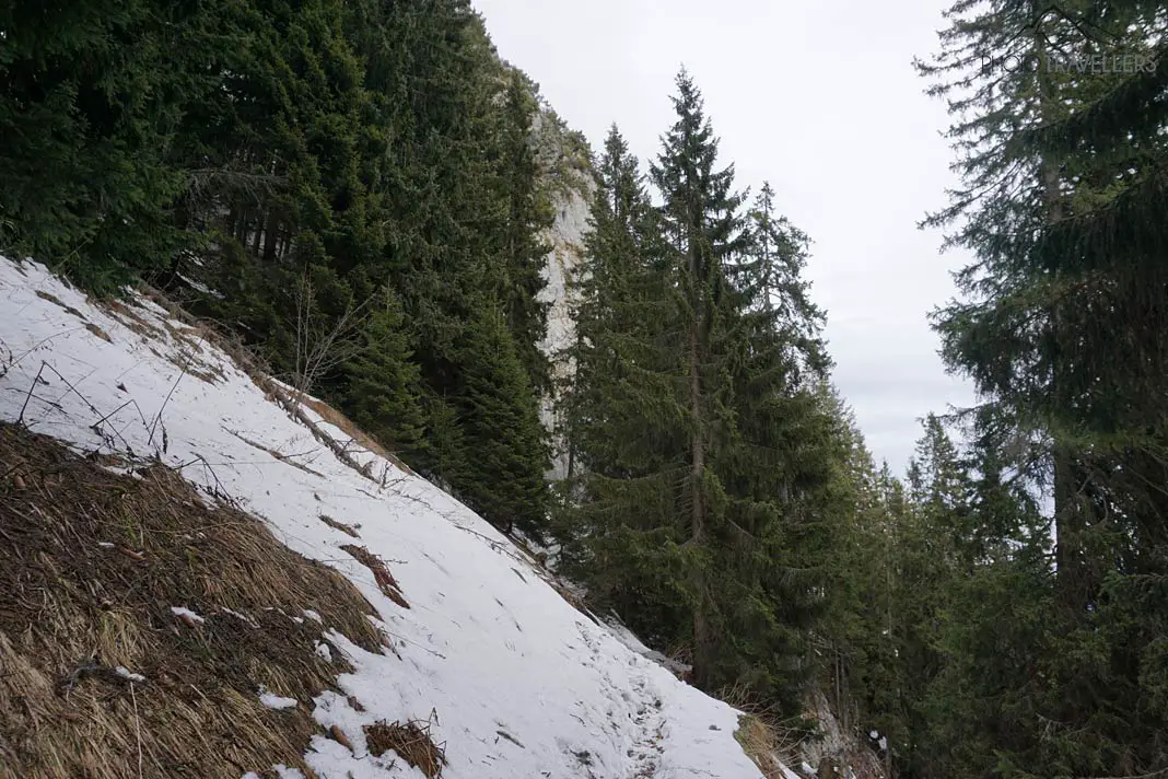 Verschneiter-Wanderweg-aufs-Ettaler-Mandl