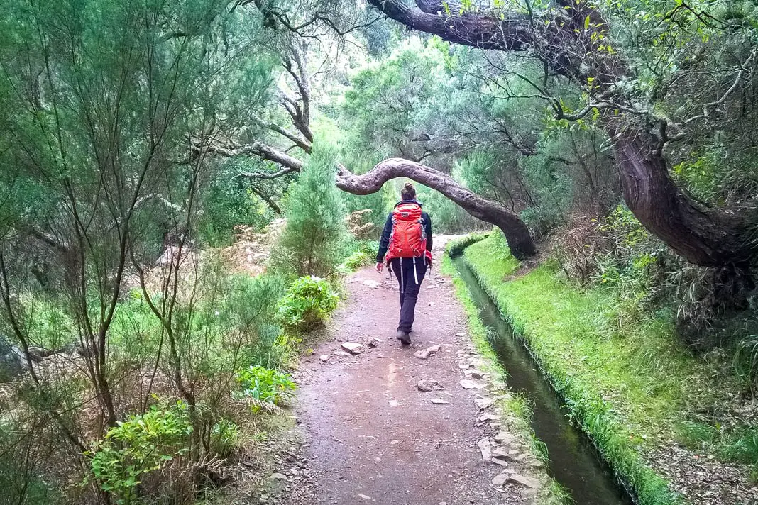 Biggi im Wald auf einem Levada-Wanderweg auf Madeira
