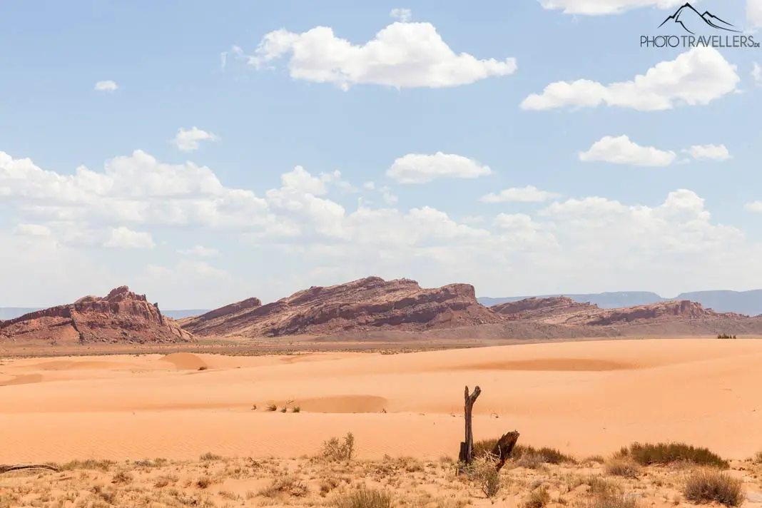 Wüstenlandschaft im Monument Valley