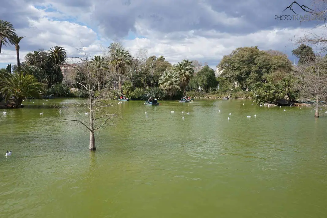 Der Teich im Parc de la Ciutadella