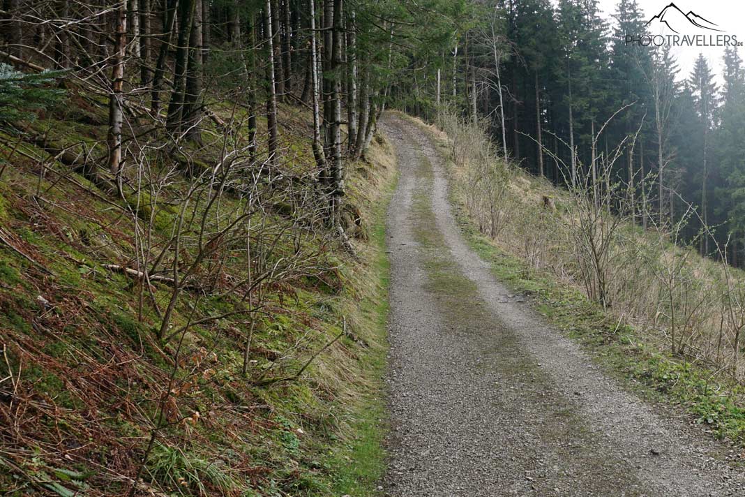 Hier führt der Weg anfangs lang, bevor...
