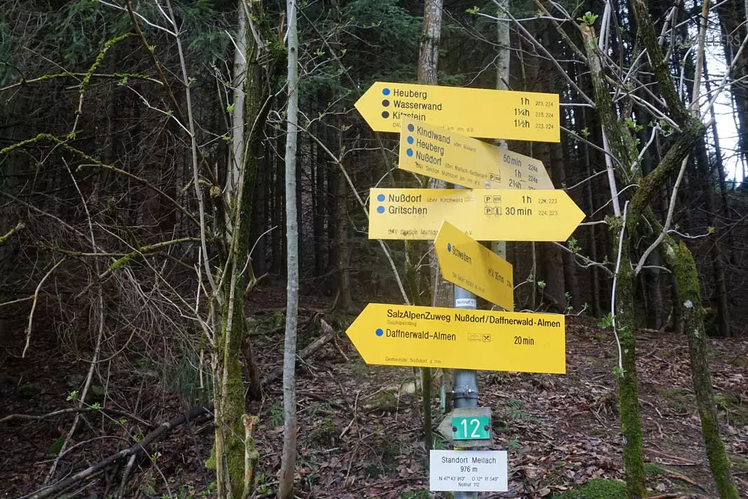 Links geht es zu den Daffnerwald-Almen. Der interessantere Weg zum Heuberg-Hauptgipfel führt nach rechts