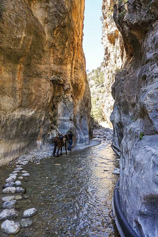 Ein Aufseher in der Samaria-Schlucht führt einen Esel durch die "Eisernen Pforten"