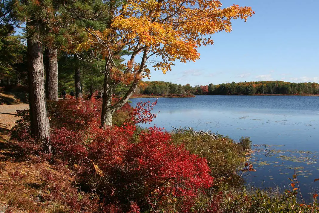 Herbststimmung im Acadia Nationalpark
