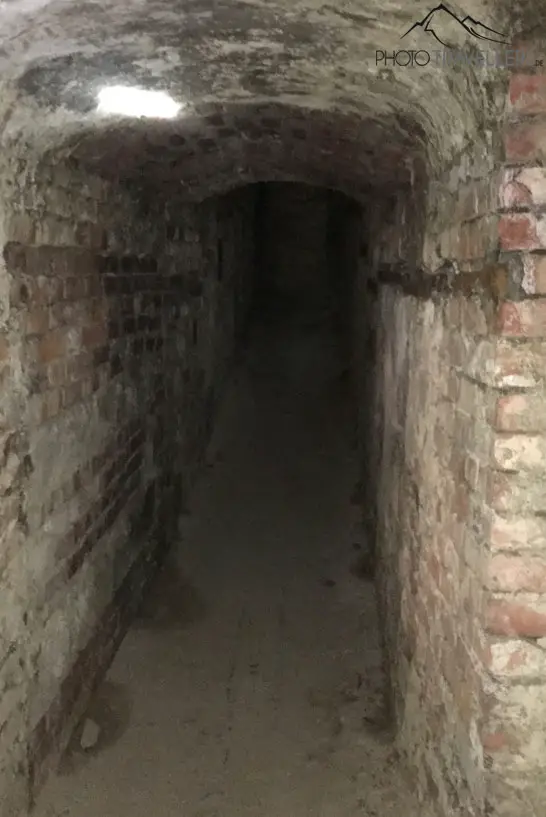 Dark cellar tour
