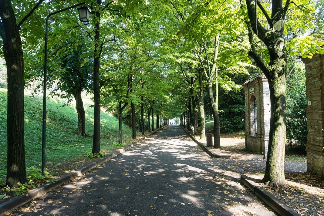 Allee in Sirmione