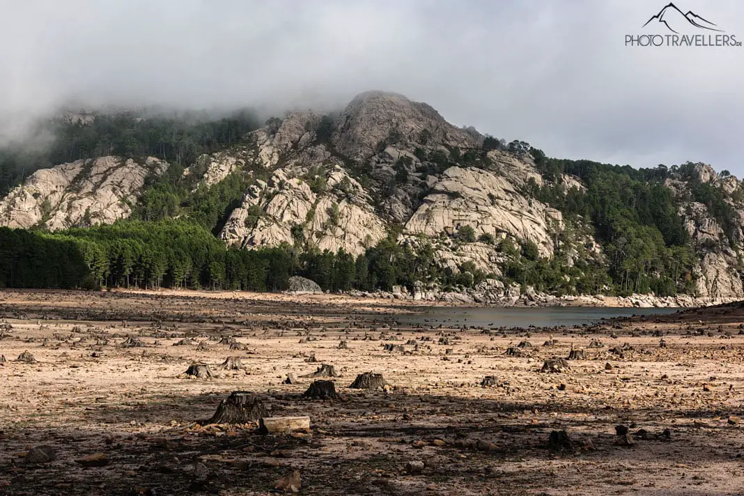 Der halb ausgetrocknete L'Ospédale Stausee auf Korsika mit den Baumstümpfen auf dem Boden des Sees