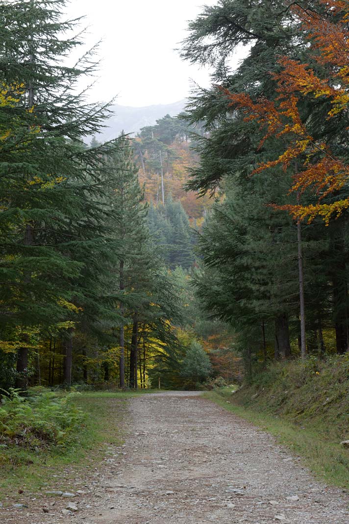 Wanderweg Kaskaden des Agnone