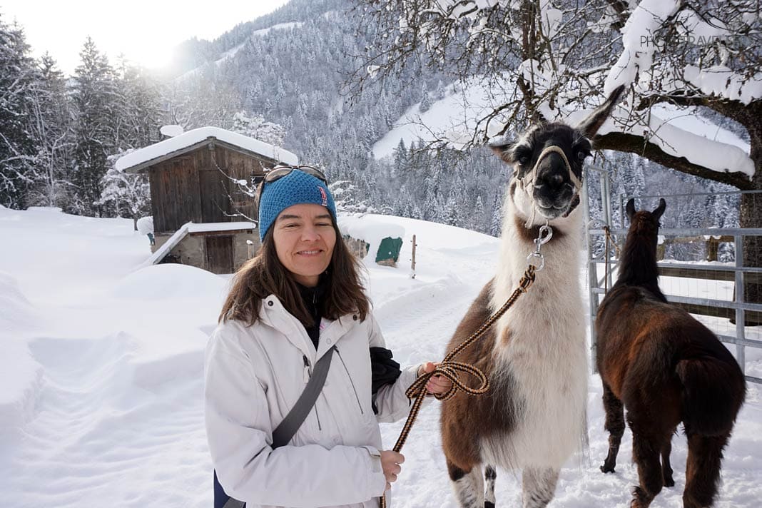 Lama-Trekking