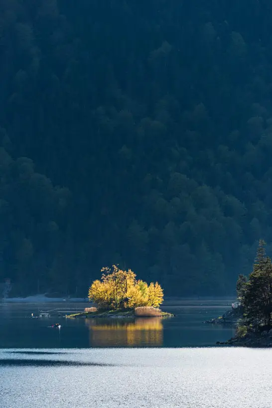 Eine kleine Insel mit einem gelben Baum auf einem See