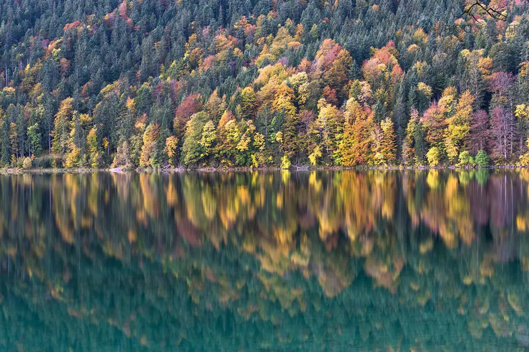 Fotospot in Bayern: Bunte Bäume an einem Bergsee