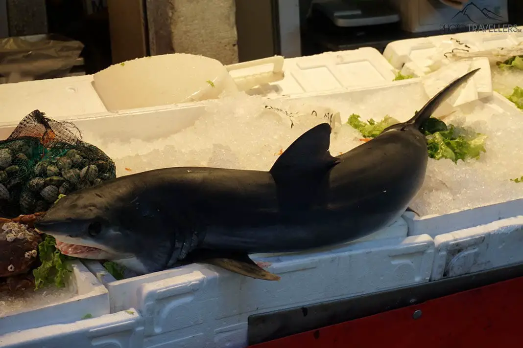 a little shark at the market in Venice