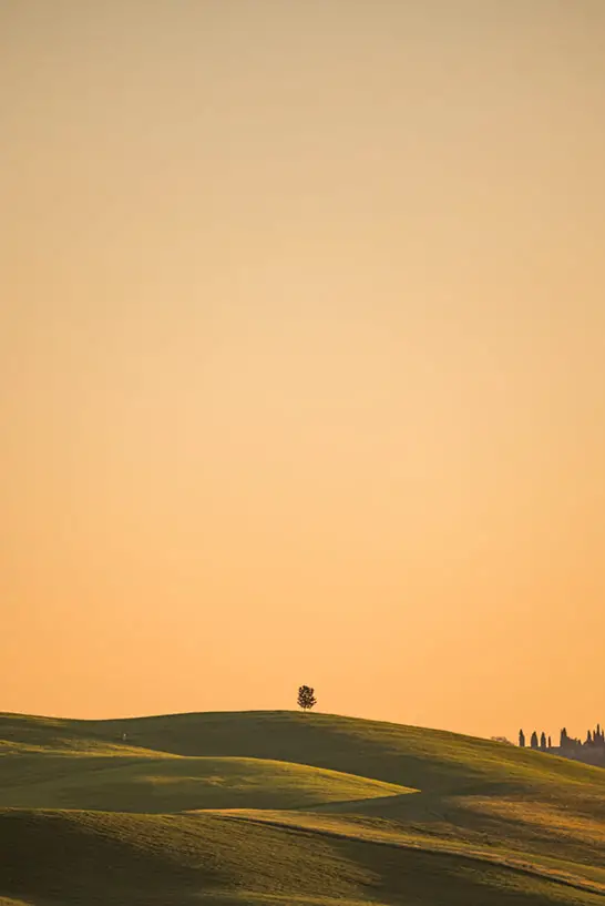 Ein einzelner Baum zum Sonnenaufgang in der Toskana