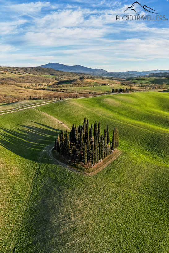 Die Zypressen von San Quirico d'Orcia im Val d'Orcia aus der Luft