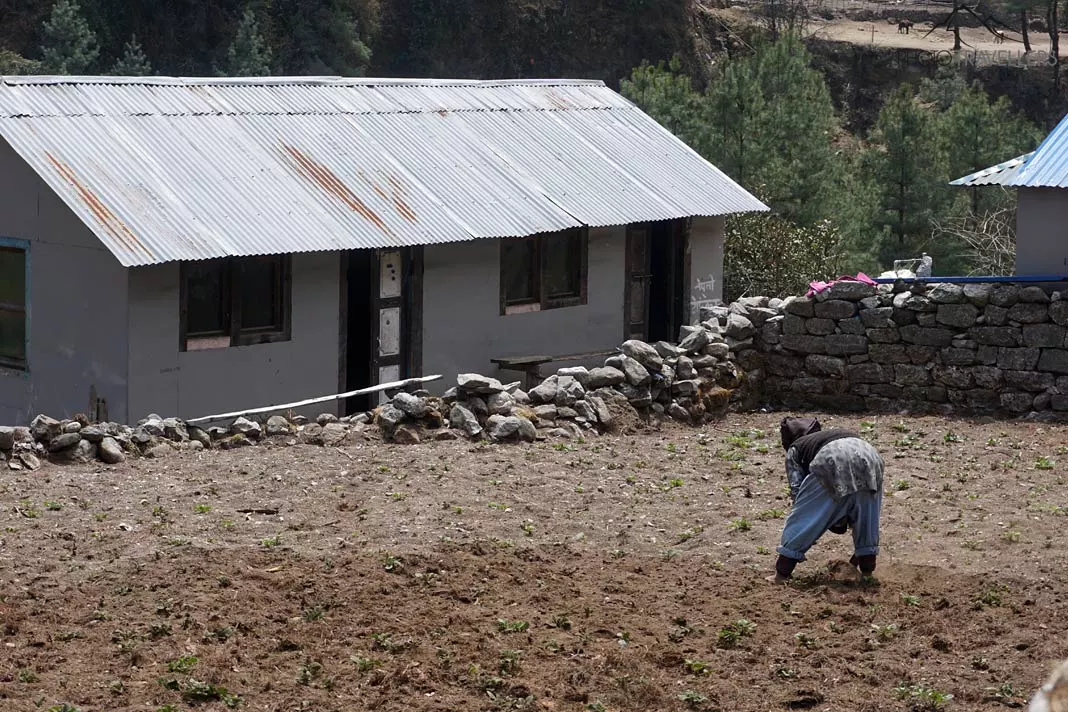 Bäuerin auf Feld in Nepal