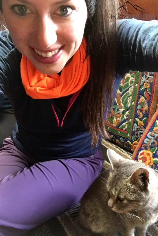 Katzen-Selfie