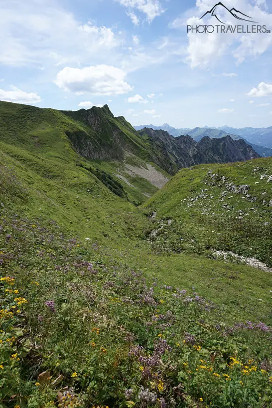 Blick auf Allgäuer Alpen