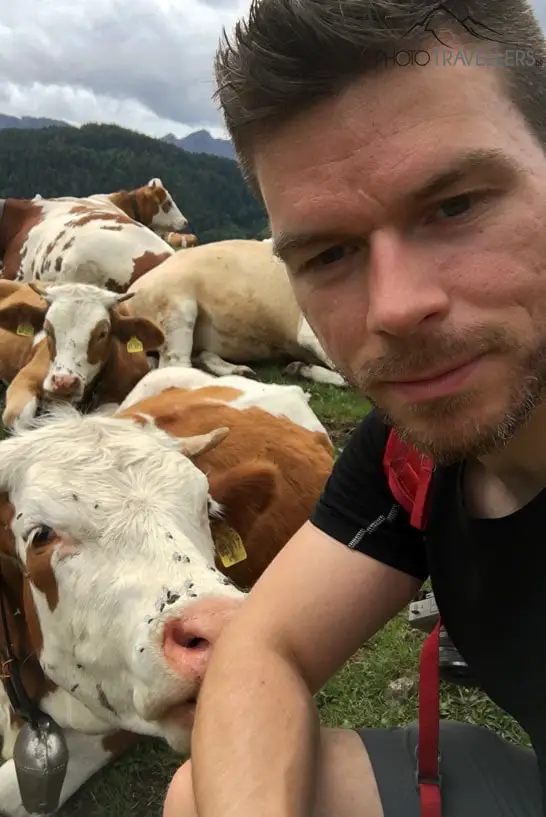 Selfie mit Kuh