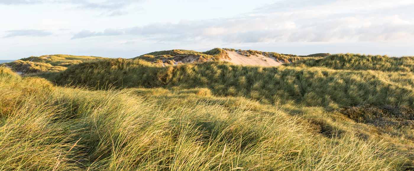 Was kann man in Dänemark machen? 12 aufregende Aktivitäten