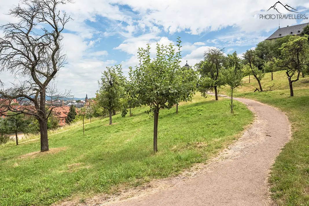 Ein von kleinen Bäumen gesäumter Wanderweg auf den Michelsberg in Bamberg