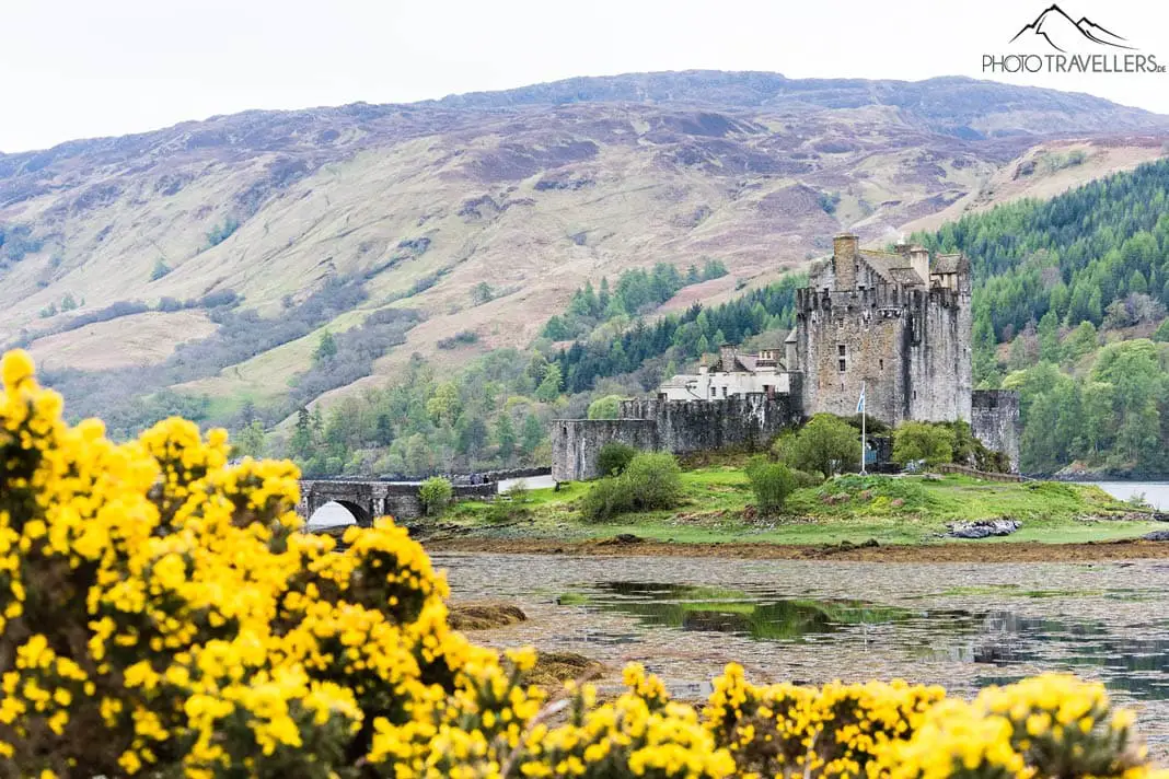 Eilean Donan Castle mit Ginster