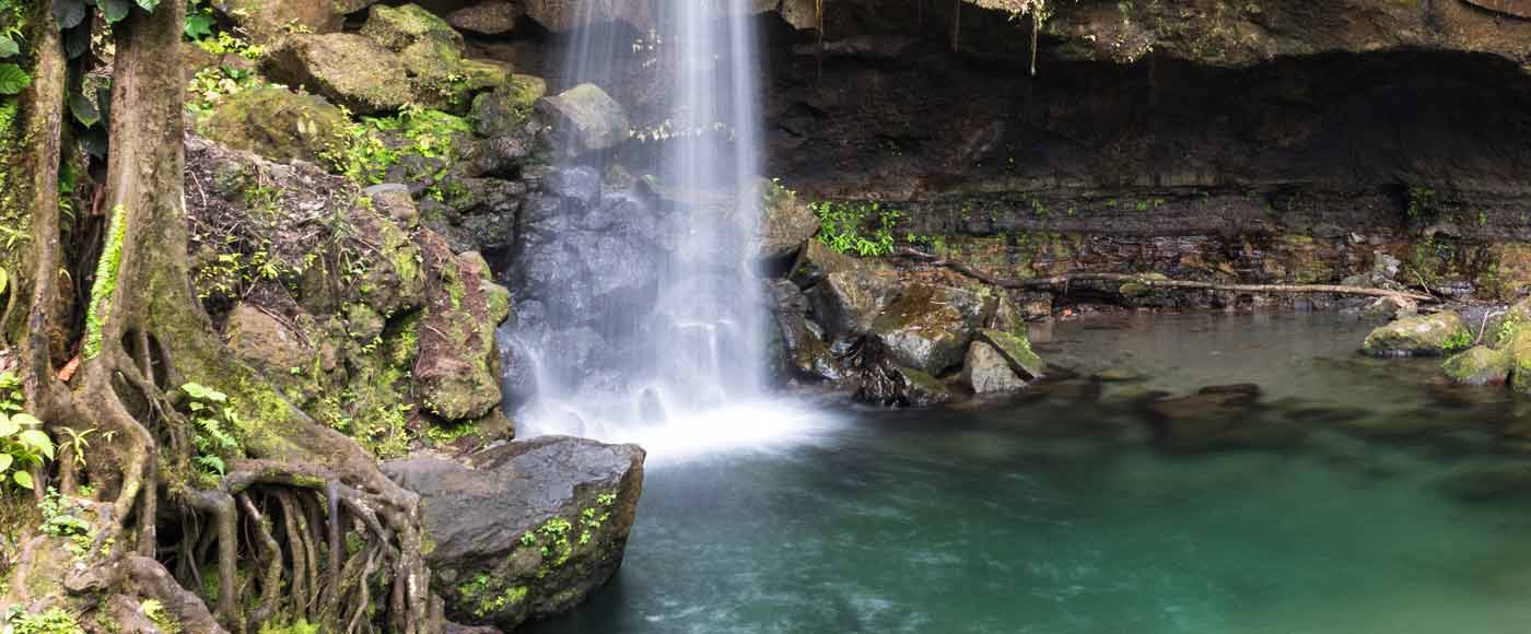 Alle Infos zum Emerald Pool auf Dominica