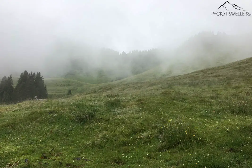 Almwiese im Nebel