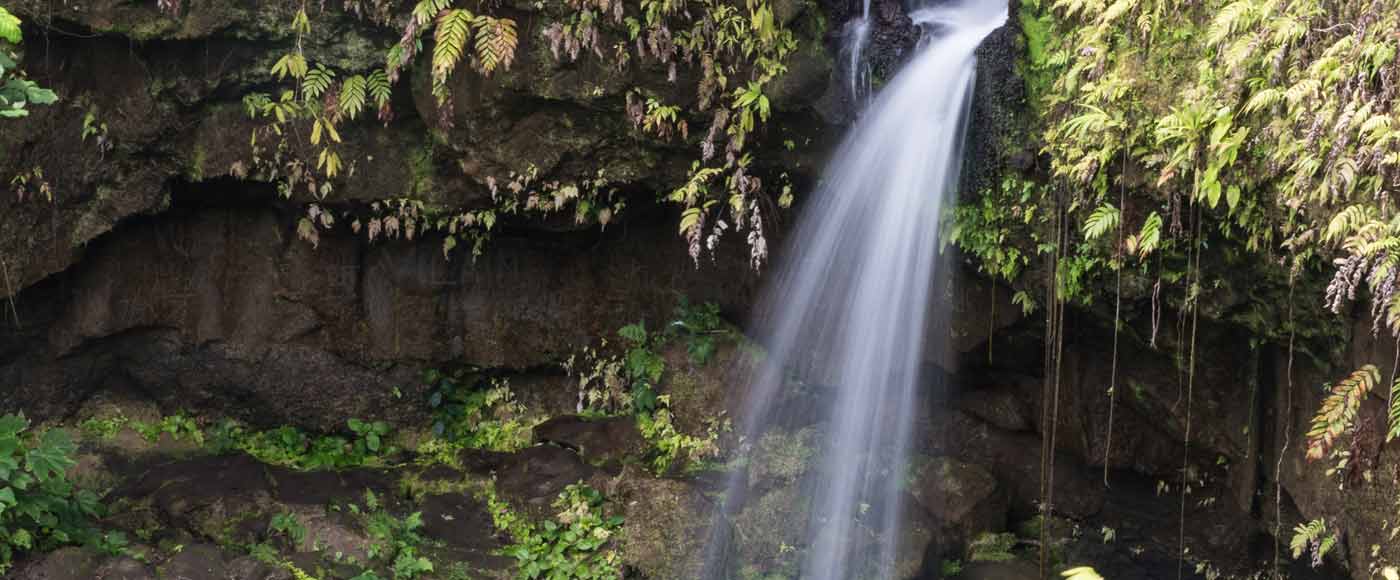 Die schönsten Wasserfälle auf Dominica
