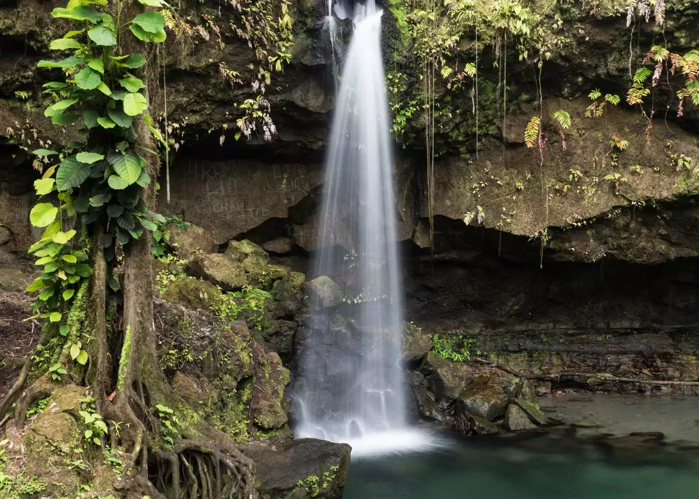 Die schönsten Wasserfälle auf Dominica