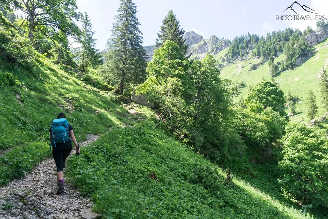 Schmaler Wanderweg zum Hochgrat-Gipfel