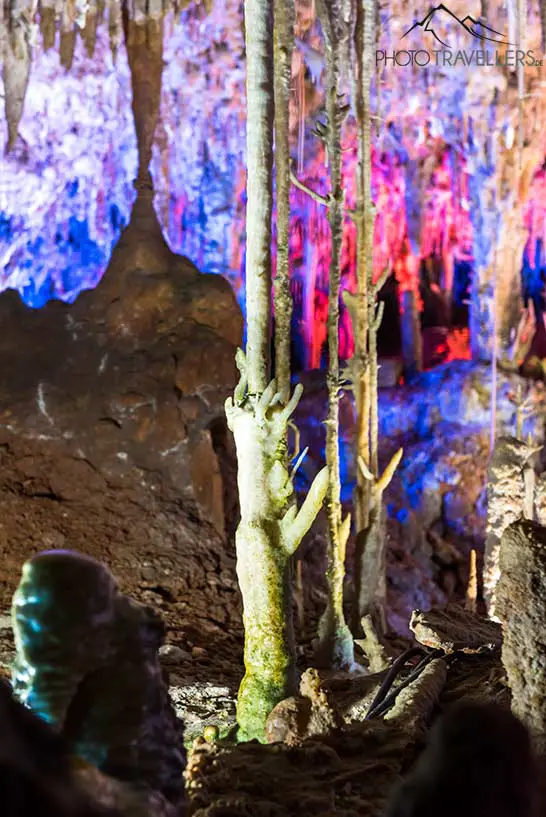 Ein Tropfstein in der Höhle Coves dels Hams, der nach oben wächst