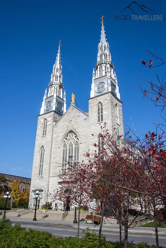 Notre Dame Cathedral Basilica