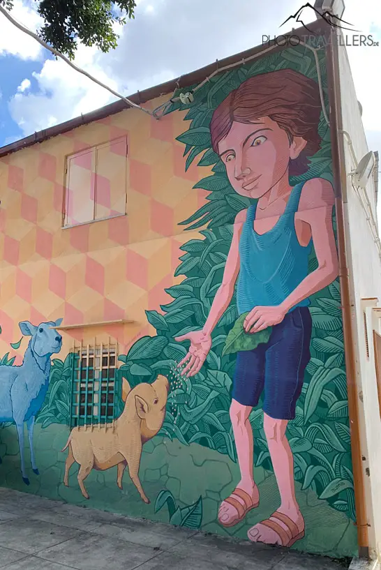 Großes Wand-Grafitti mit Jungen und Tieren in Danisinni 