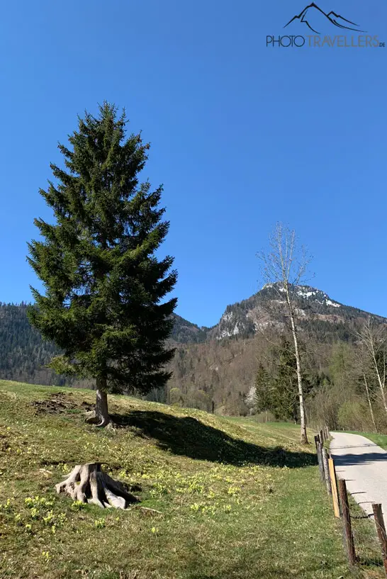 Alpenlandschaft im Frühjahr
