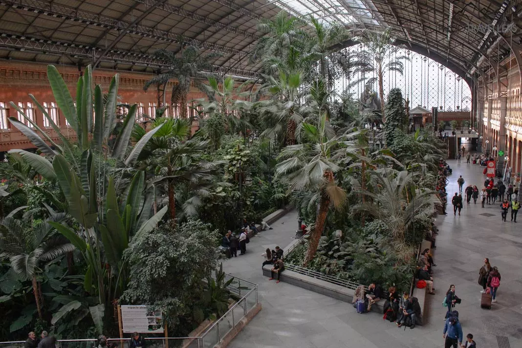 Die Bahnhofshalle von Atocha mit Pflanzen