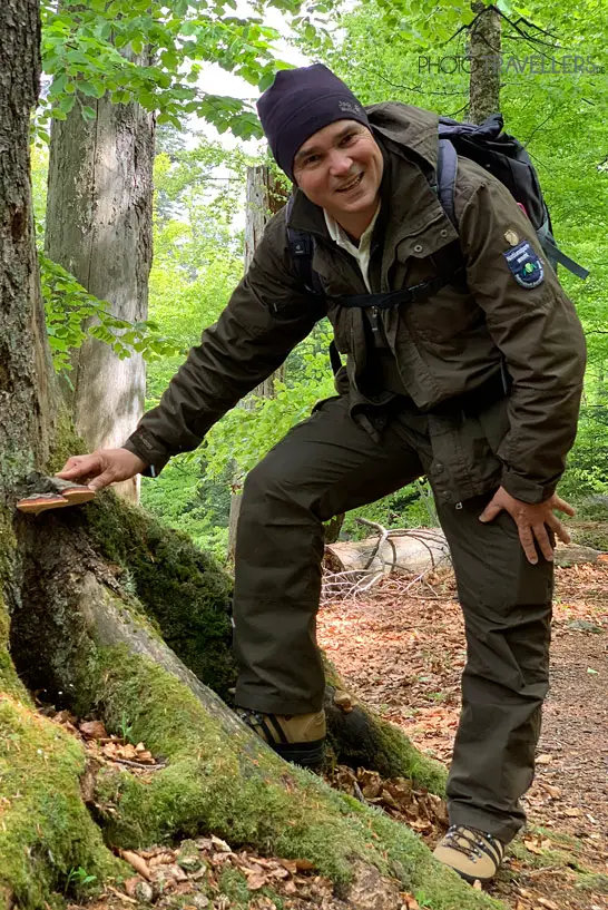 Ranger Sigi zeigt uns den Nationalpark Bayerischer Wald