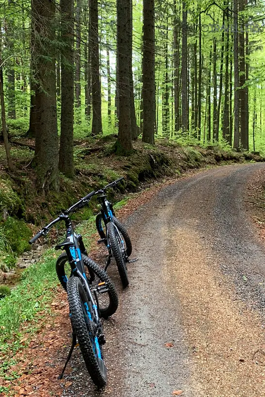 E-Bikes im Wald